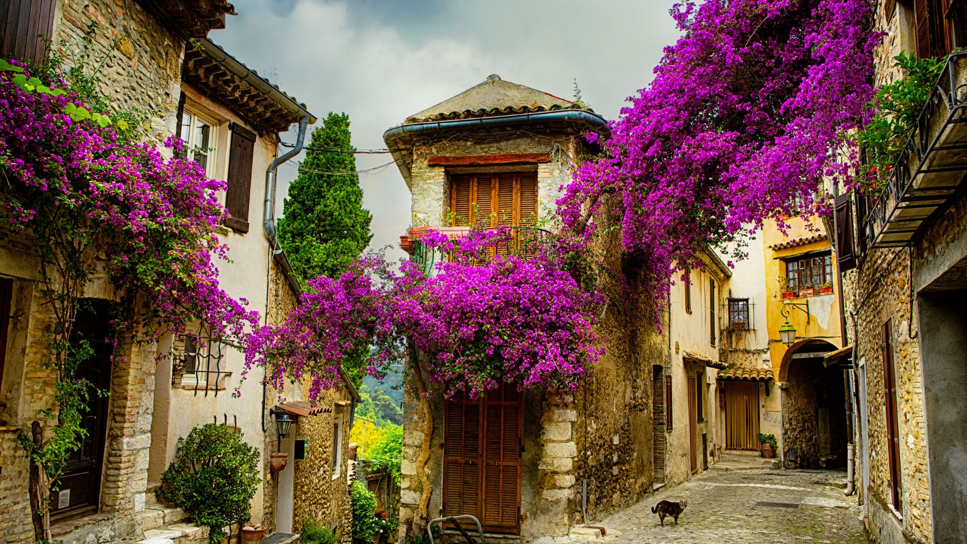 Old Town in Provence, France